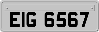 EIG6567