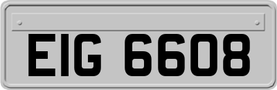 EIG6608