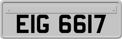 EIG6617