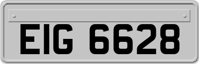 EIG6628