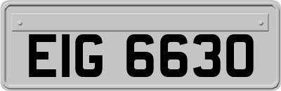 EIG6630