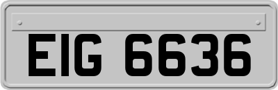 EIG6636