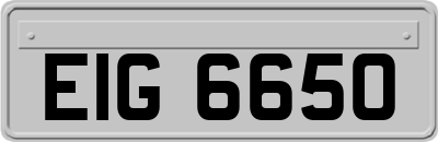 EIG6650