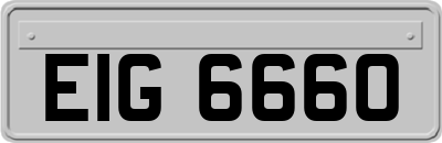 EIG6660