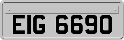 EIG6690