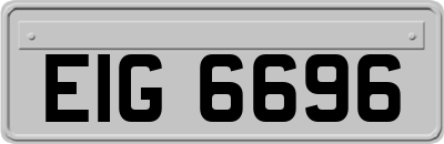 EIG6696