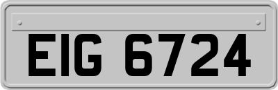 EIG6724