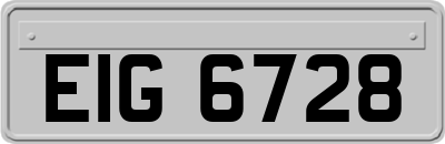 EIG6728