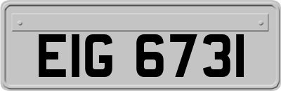 EIG6731