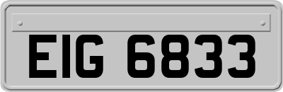 EIG6833