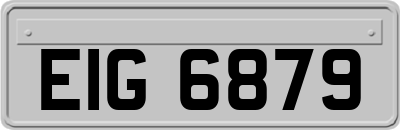 EIG6879