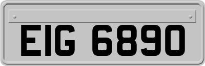 EIG6890