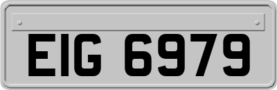 EIG6979
