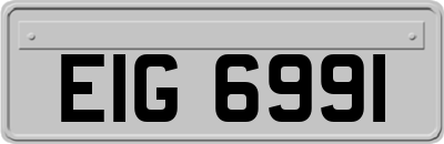 EIG6991