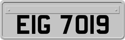 EIG7019