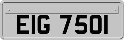 EIG7501