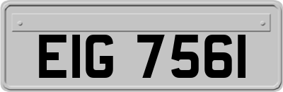 EIG7561