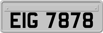 EIG7878