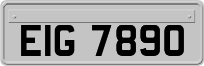 EIG7890
