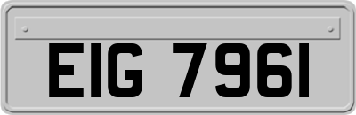 EIG7961