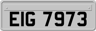 EIG7973