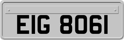 EIG8061