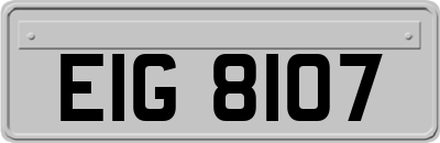 EIG8107