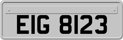 EIG8123