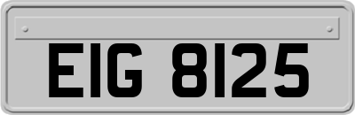 EIG8125