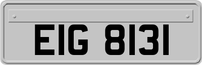 EIG8131