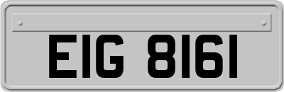 EIG8161