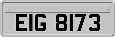 EIG8173