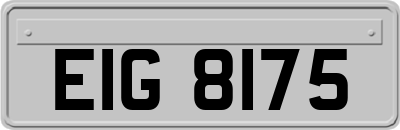 EIG8175