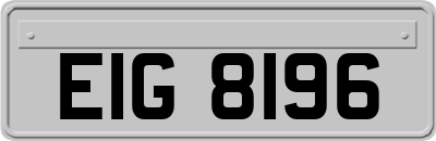 EIG8196