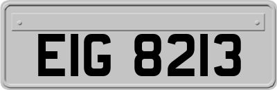 EIG8213