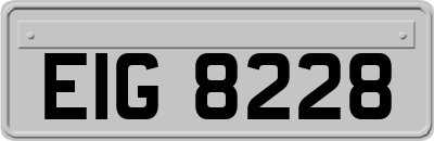 EIG8228