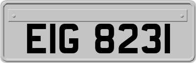 EIG8231