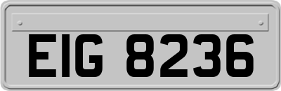 EIG8236