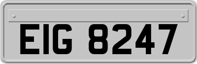 EIG8247