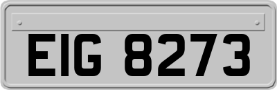 EIG8273