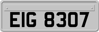 EIG8307