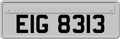 EIG8313