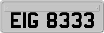 EIG8333