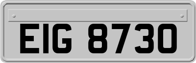 EIG8730