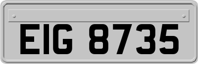 EIG8735