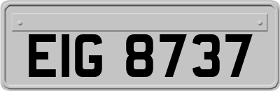 EIG8737