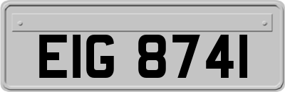 EIG8741