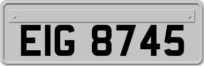 EIG8745