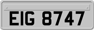 EIG8747