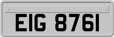 EIG8761